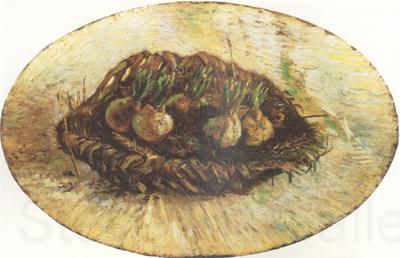 Vincent Van Gogh Basket of Sprouting Bulbs (nn04)